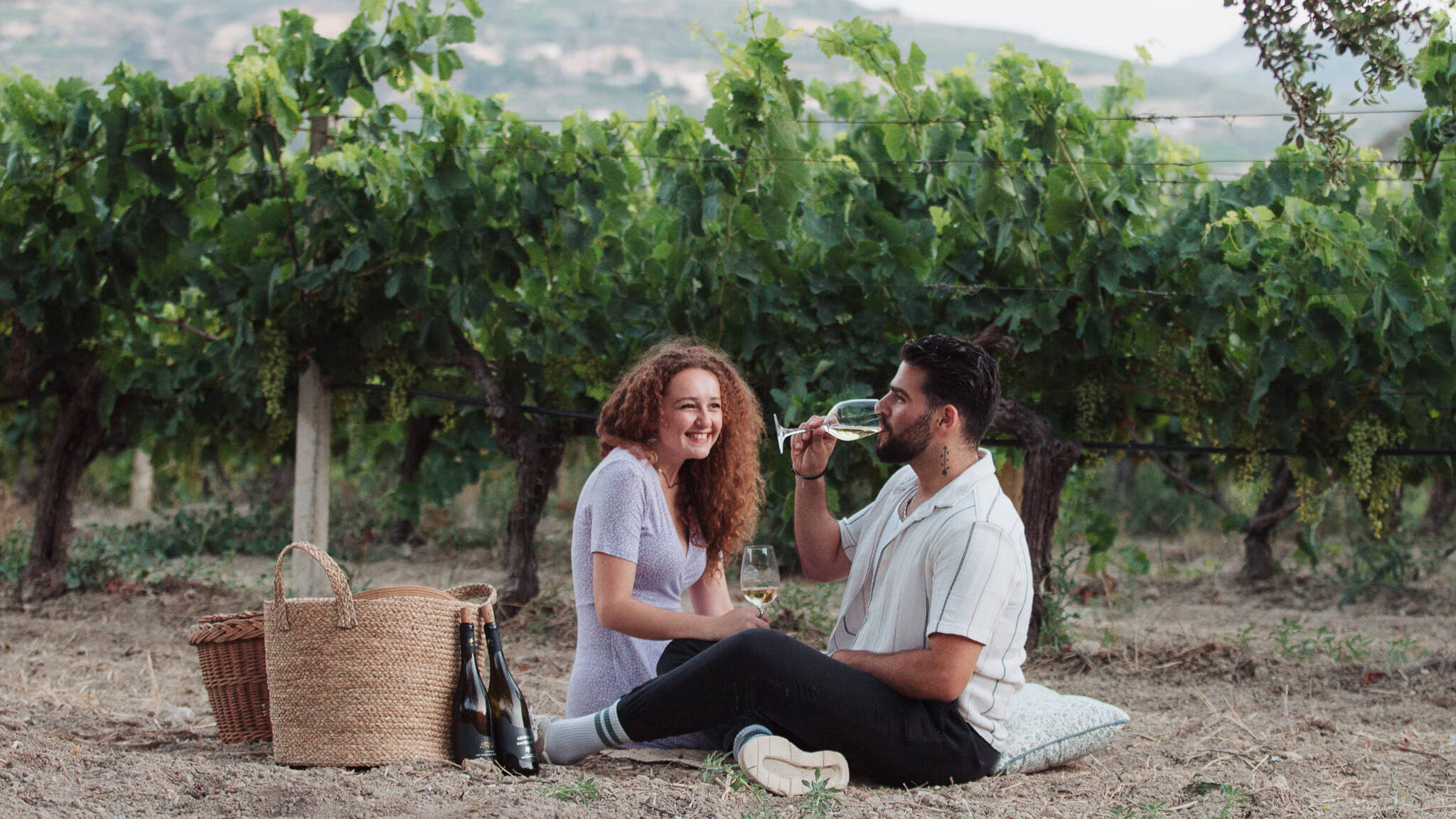 Wine Dafwines-dafwines.com