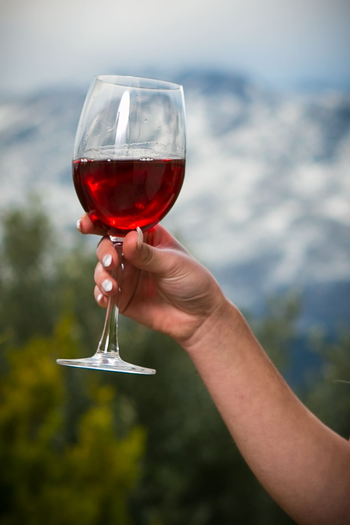Ποτήρι συλλογή-dafwines.com