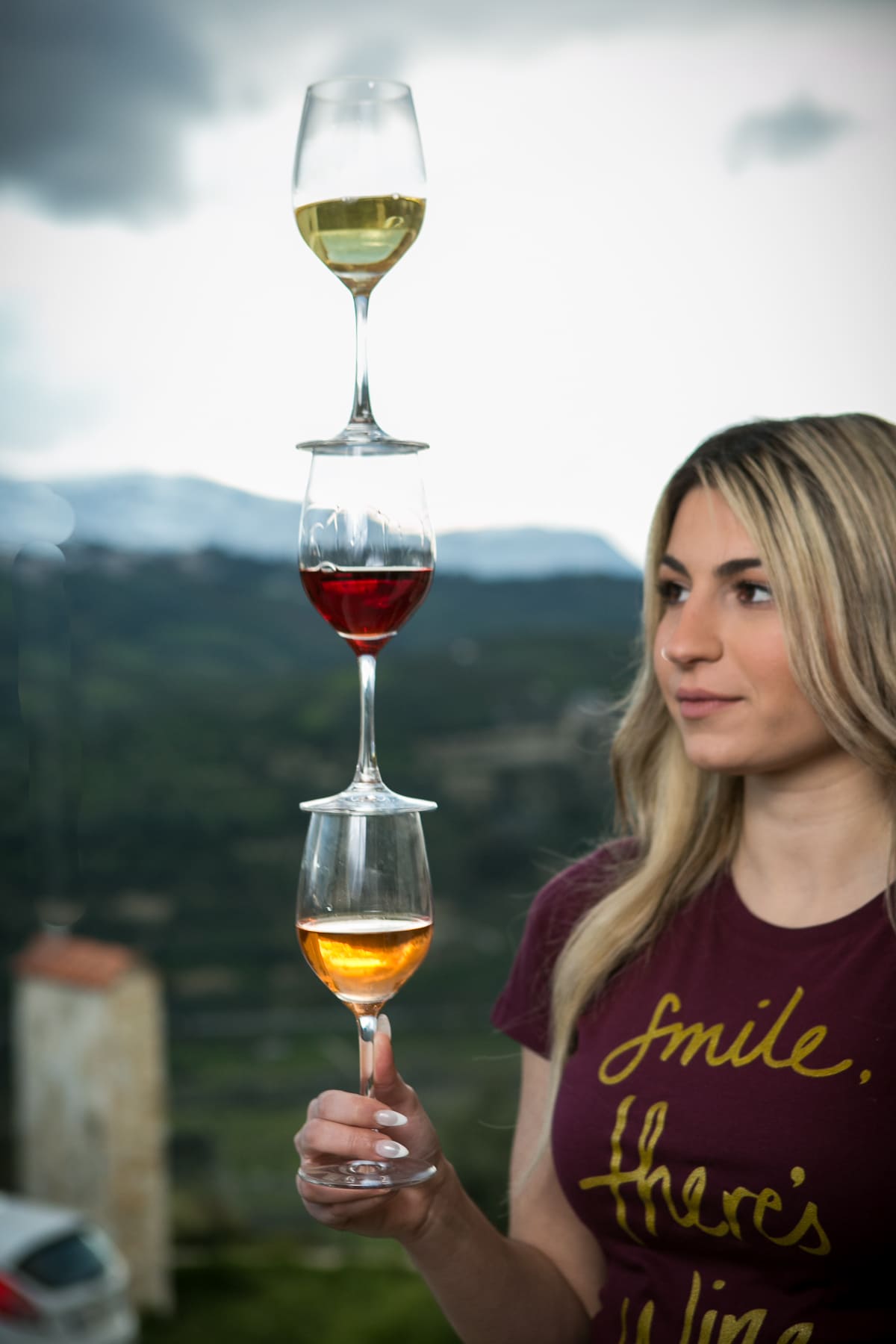 Συλλογή κρασιά-dafwines.com
