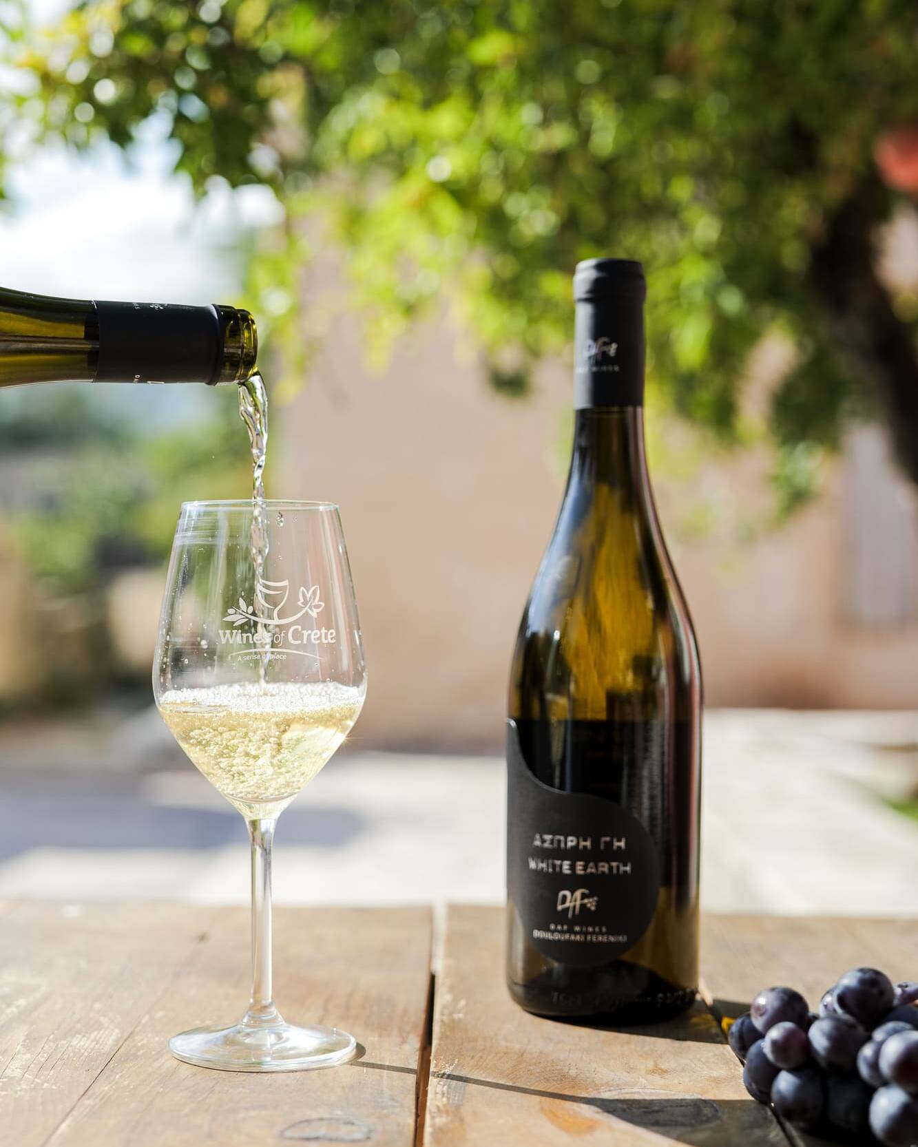 &Alpha;&sigma;&pi;&rho;&eta; &gamma;&eta; &lambda;&epsilon;&upsilon;&kappa;ό&sigmaf;-dafwines.com