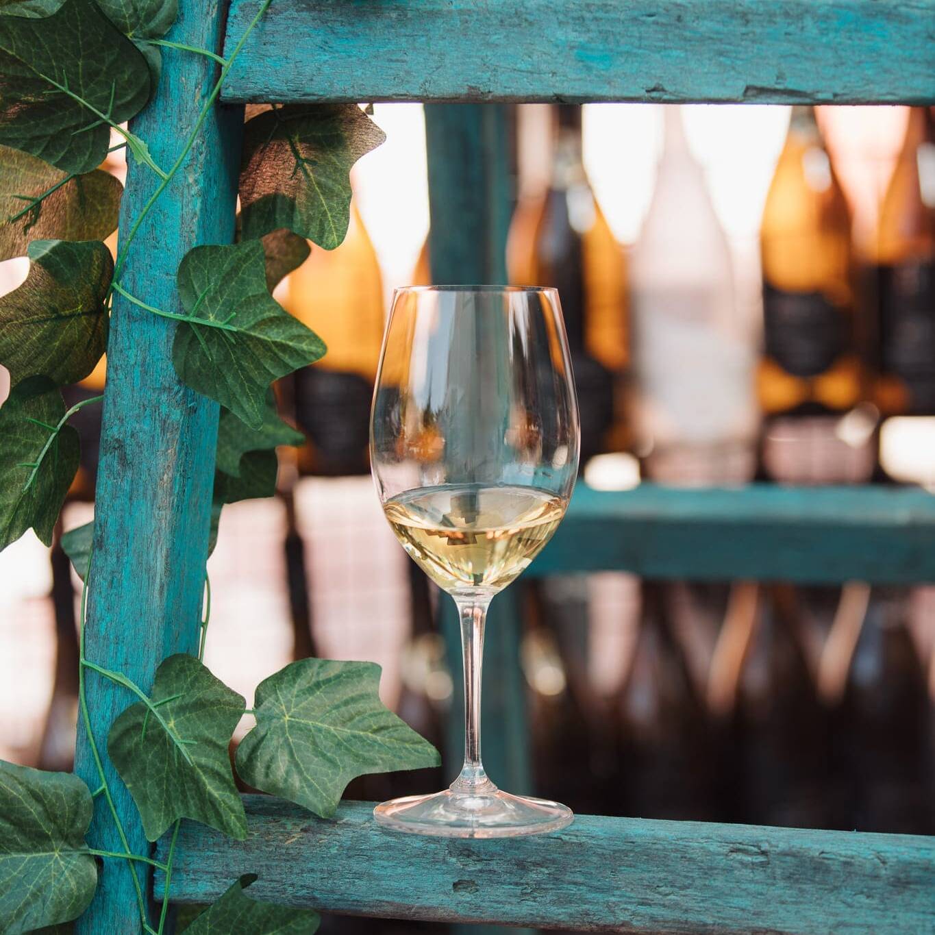 Οινικές εμπειρίες-dafwines.com